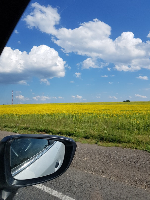 Фото в машине из окна