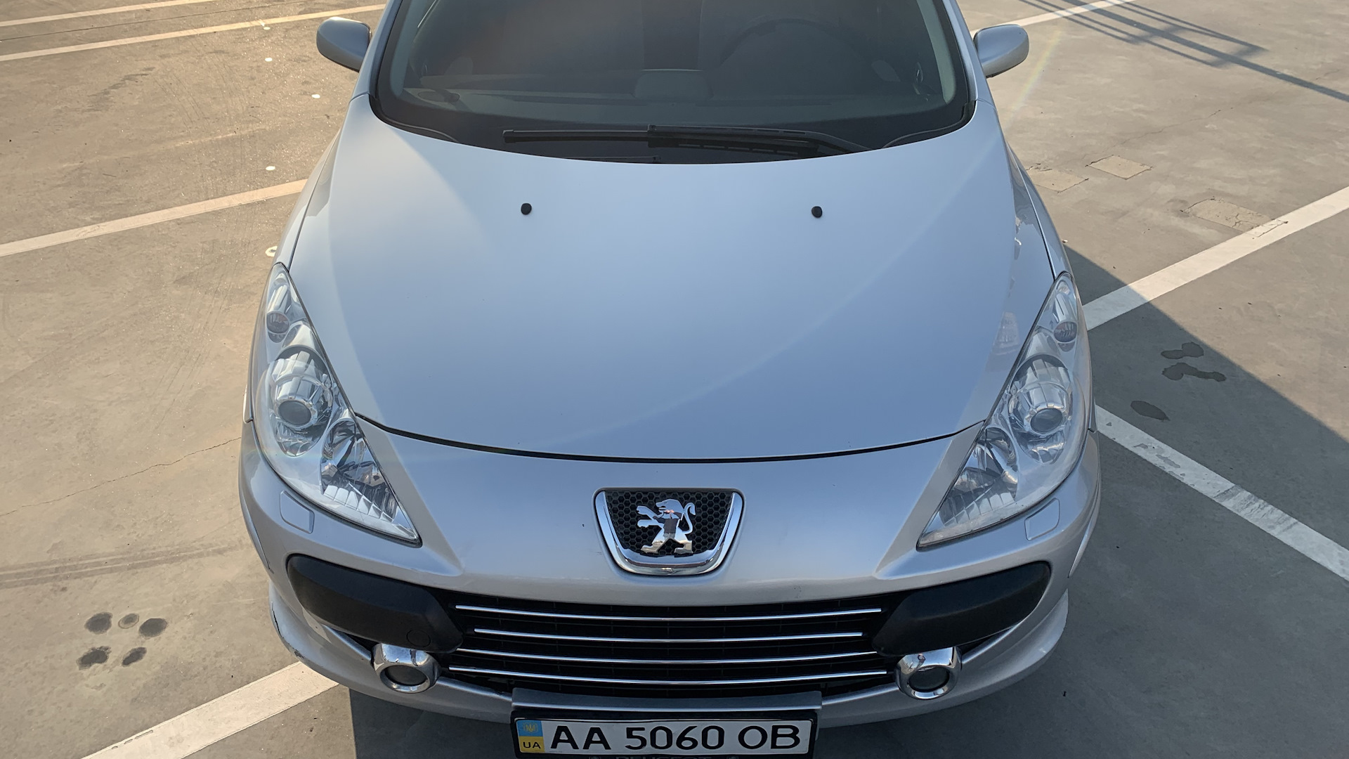 Peugeot 307 SW 2.0 бензиновый 2005 | ПИЖОН на DRIVE2