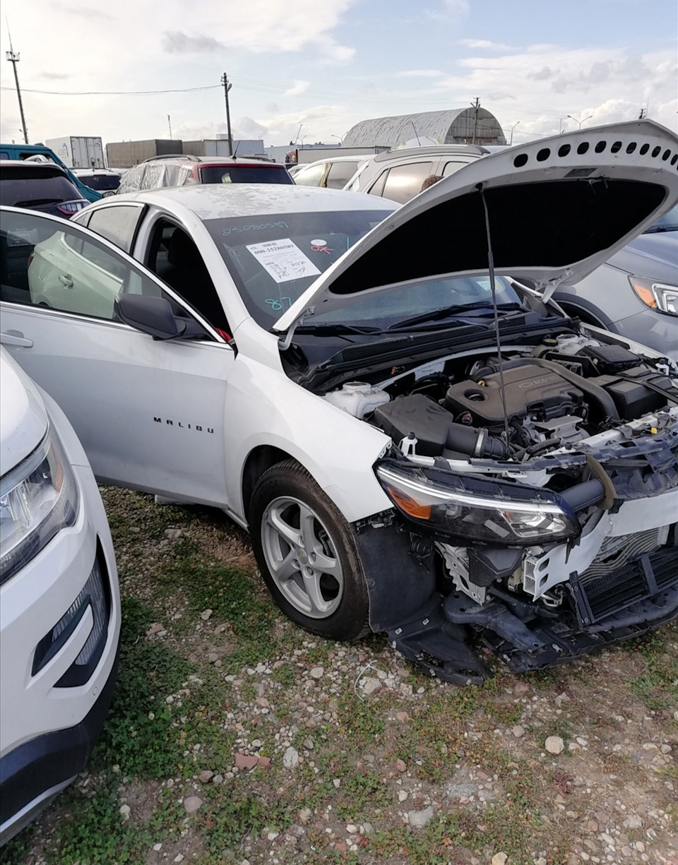 Прибытие на таможню в Минск, СВХ. — Chevrolet Malibu (9G), 1,5 л, 2016 года  | покупка машины | DRIVE2