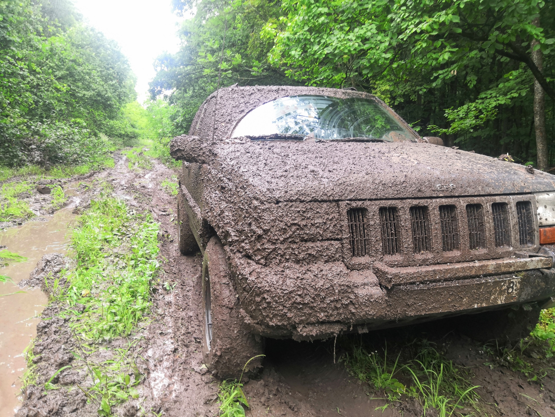 Покатались по грязи в лесу — Jeep Grand Cherokee (ZJ), 4 л, 1993 года |  покатушки | DRIVE2