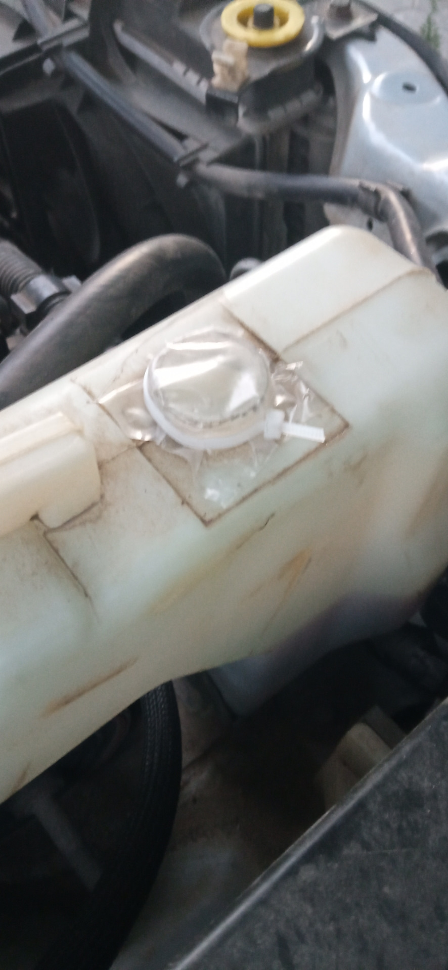 Крышка расширительного бочка — Nissan Primera (P12), 1,6 л, 2006 года ...