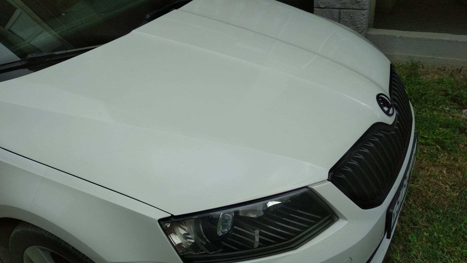 Бронь пленка — Skoda Octavia A7 Mk3, 1,4 л, 2013 года | другое | DRIVE2