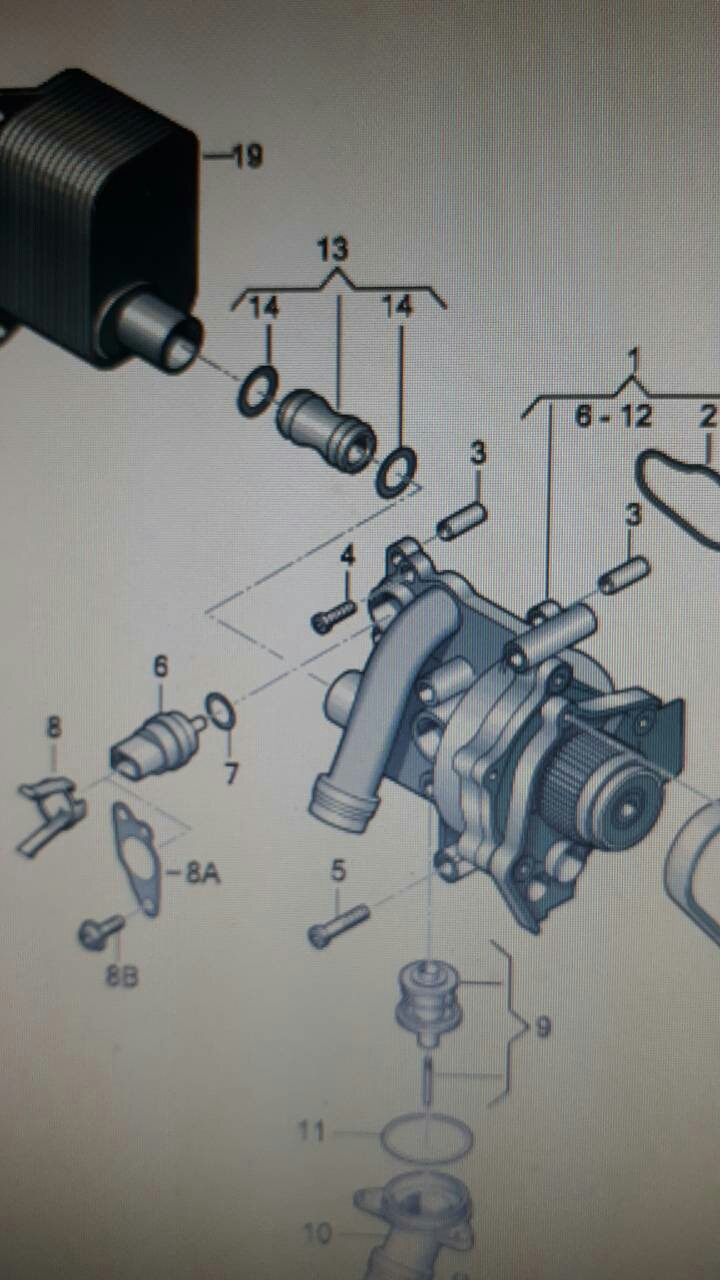 Ford Focus Клуб