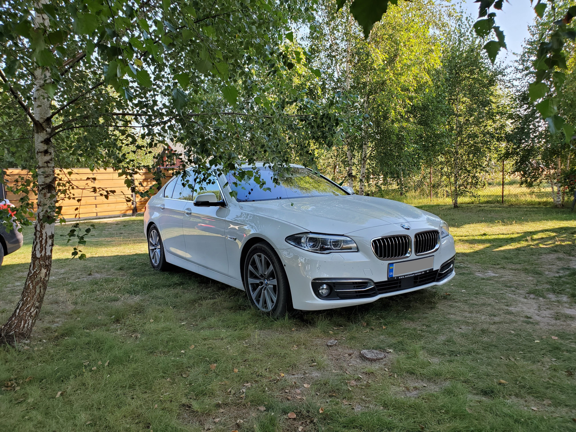 Замена резинок в щётках стеклоочистителей (VAG) — BMW 5 series (F10), 3 л,  2014 года | расходники | DRIVE2