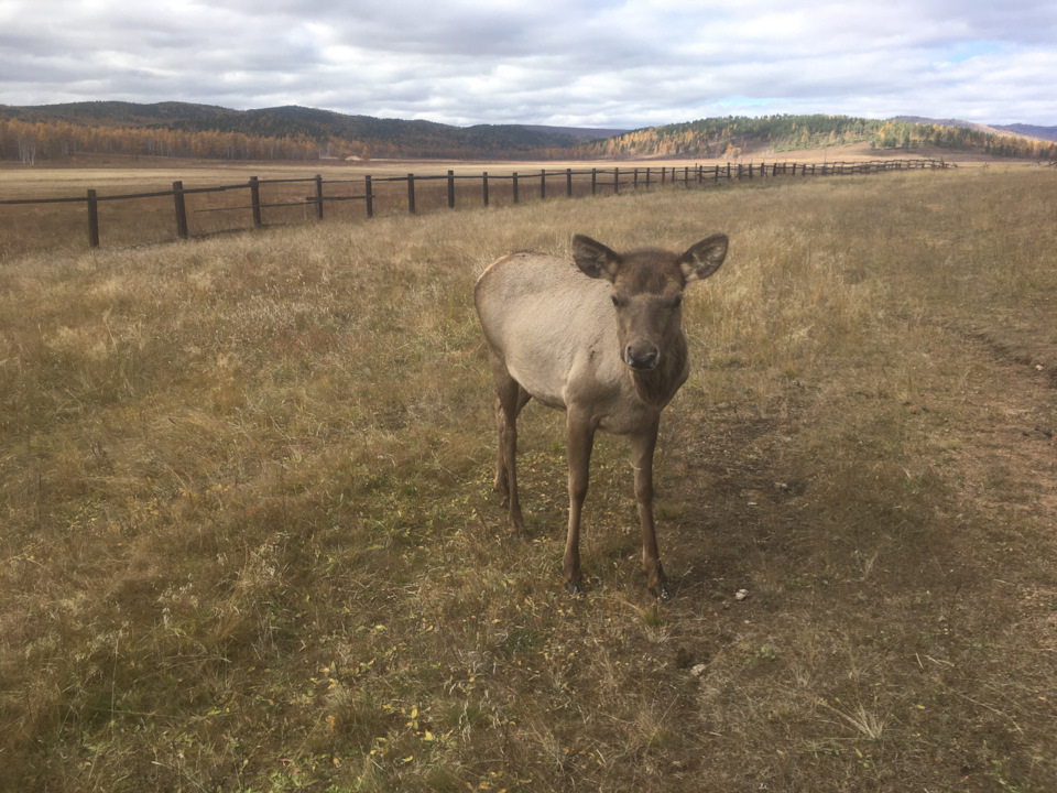 Фото в бортжурнале Chevrolet Tracker II
