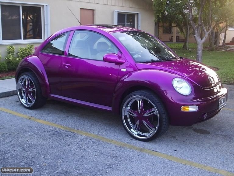 new beetle