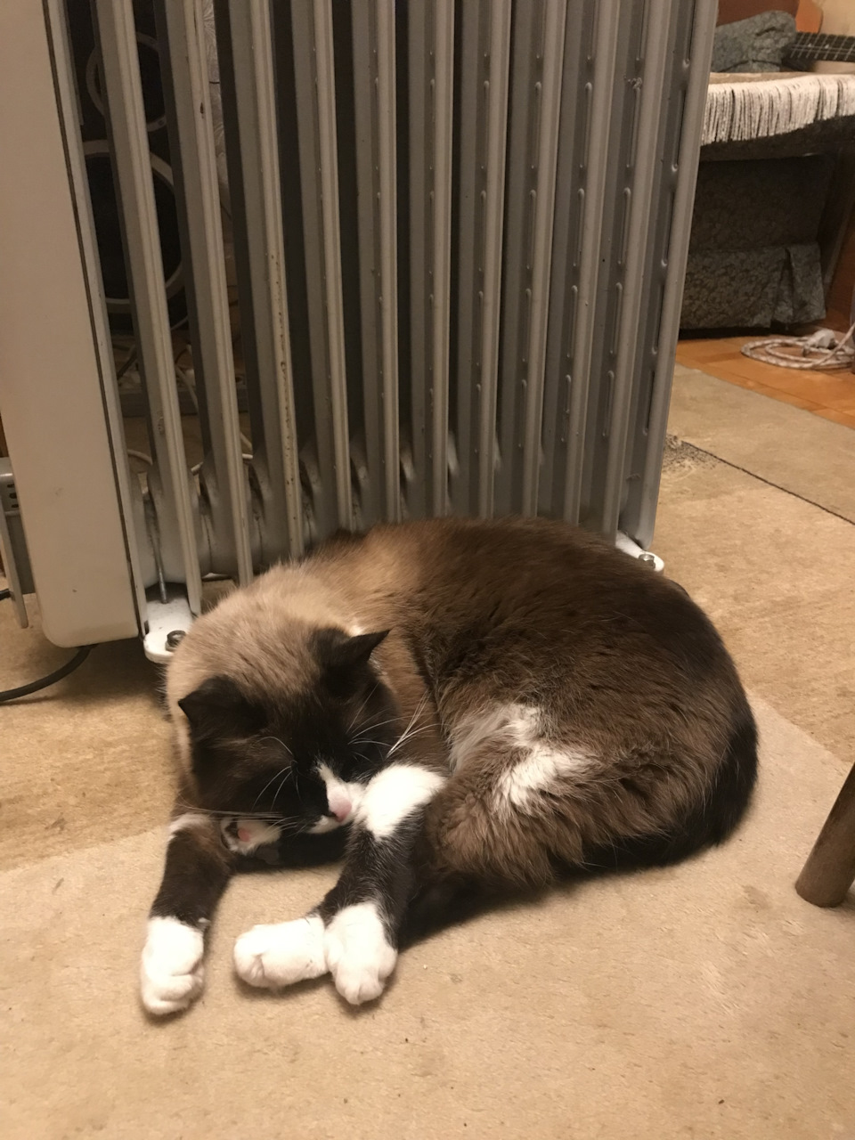 Друзья посоветуйте рихтовщика в Киеве :) — Volkswagen Golf Mk7 GTI, 2 л ...