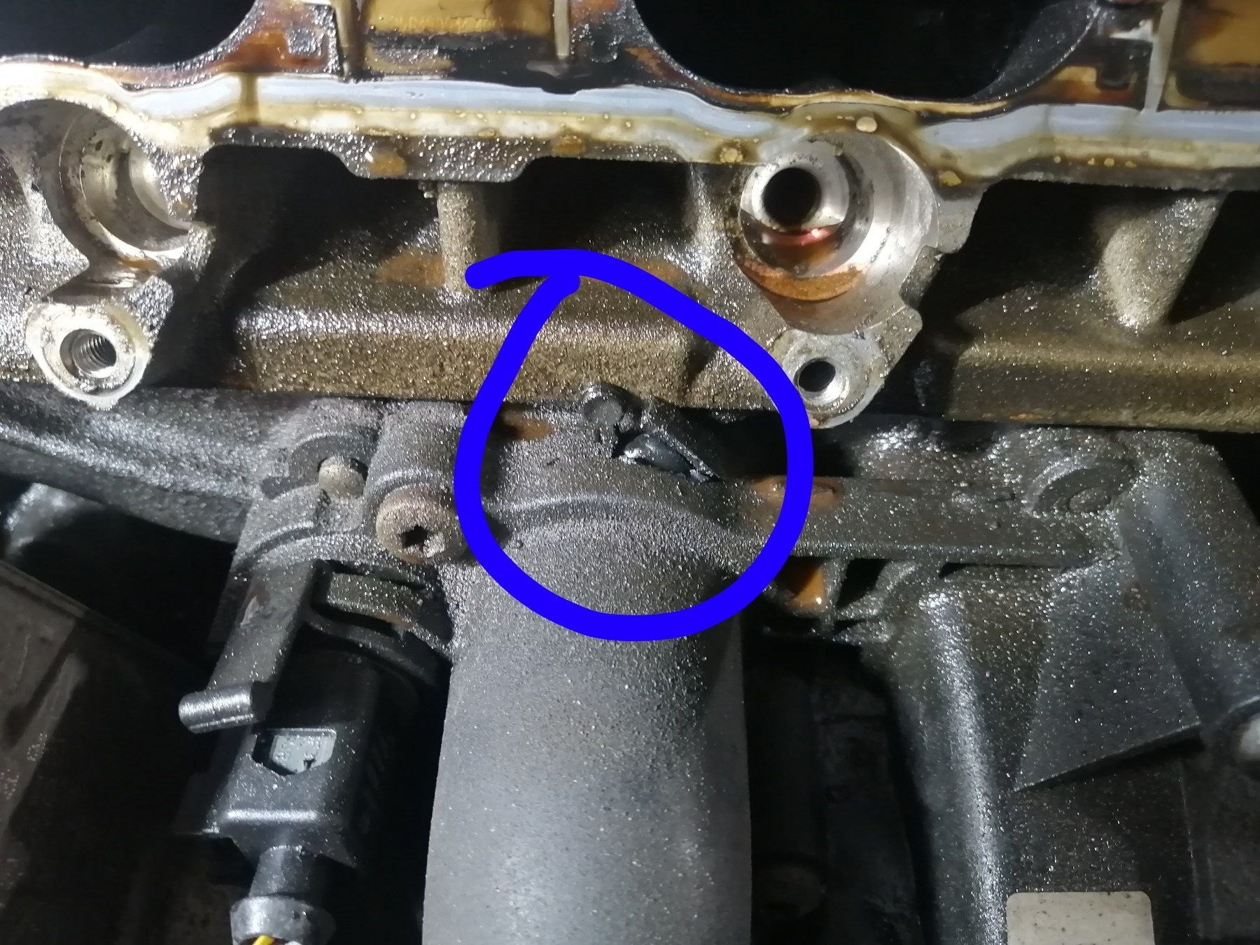 Протекшие девушки. Котик с автоматом. Течь она моя. Течь она моя. Карикатуры на футболках.