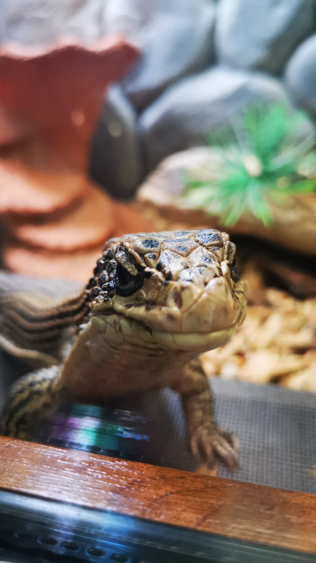 BMW 3 Series F30 2 2015 DRIVE2 bmw-3-series-f30-2-2015-drive2