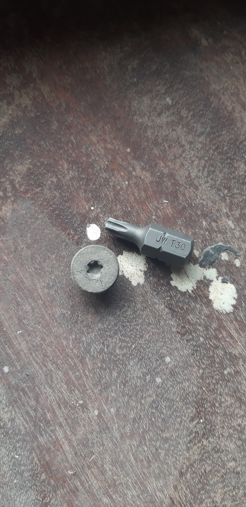 Сервисная заглушка под торкс для разряжения гидронатяжителя цепи и фиксации натяжного башмака — Ford Focus Sedan II