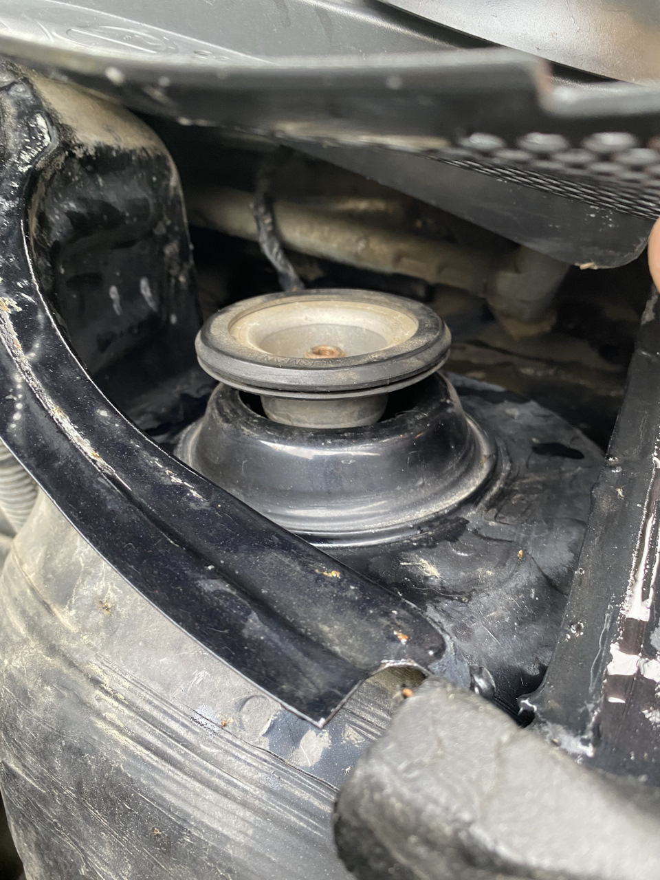 Фото в бортжурнале Volkswagen Polo Sedan