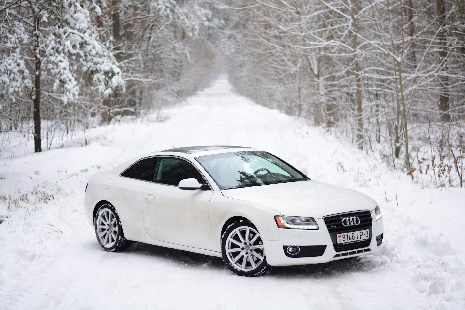 Купить ауди в нижнем новгороде. Ауди а8 белая. Audi Winter rs5. Белая Ауди а6 зима. Ауди а3 зимой.