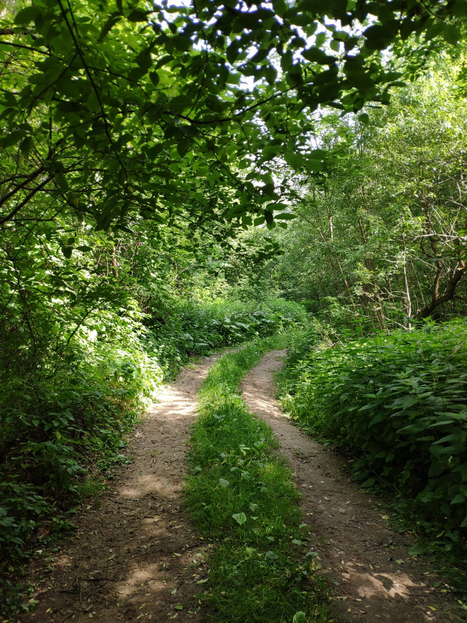 Через лес до карьера — KIA Ceed (2G), 1,6 л., 2018 года | покатушки ...