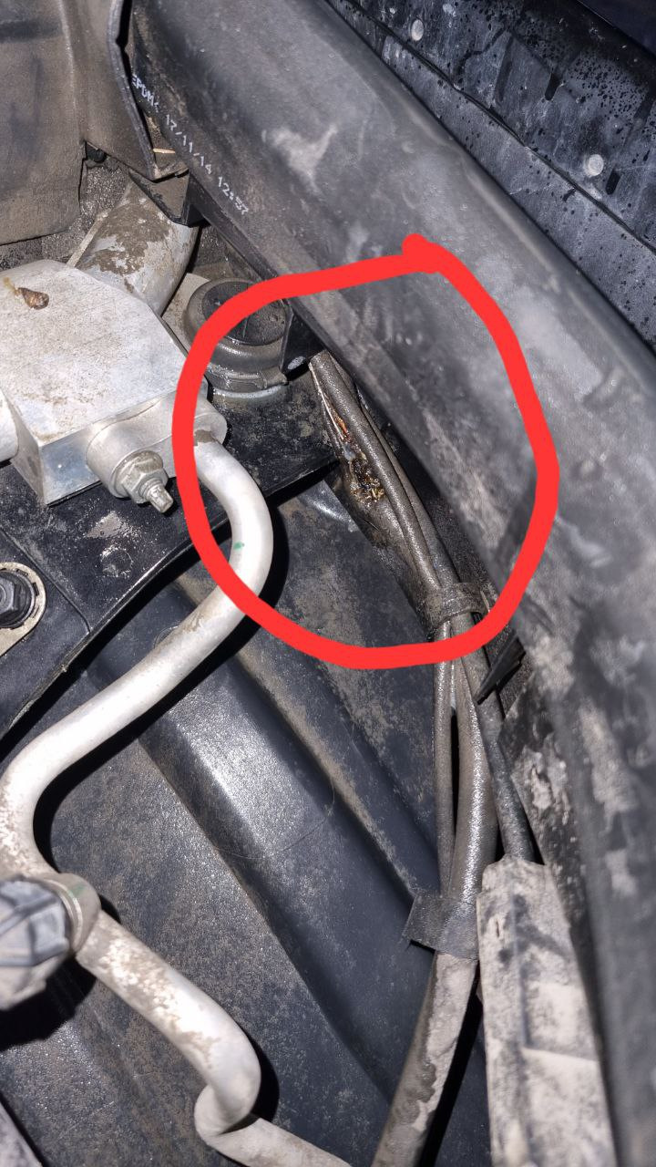 Коротнул подогрев внутри шланга омывателя лобового стекла — Mercedes ...