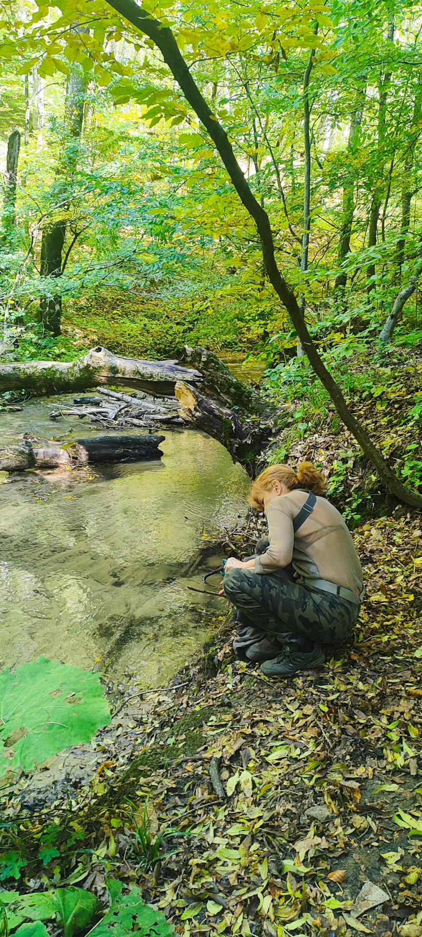 Фото в бортжурнале Mitsubishi Pajero (4G)