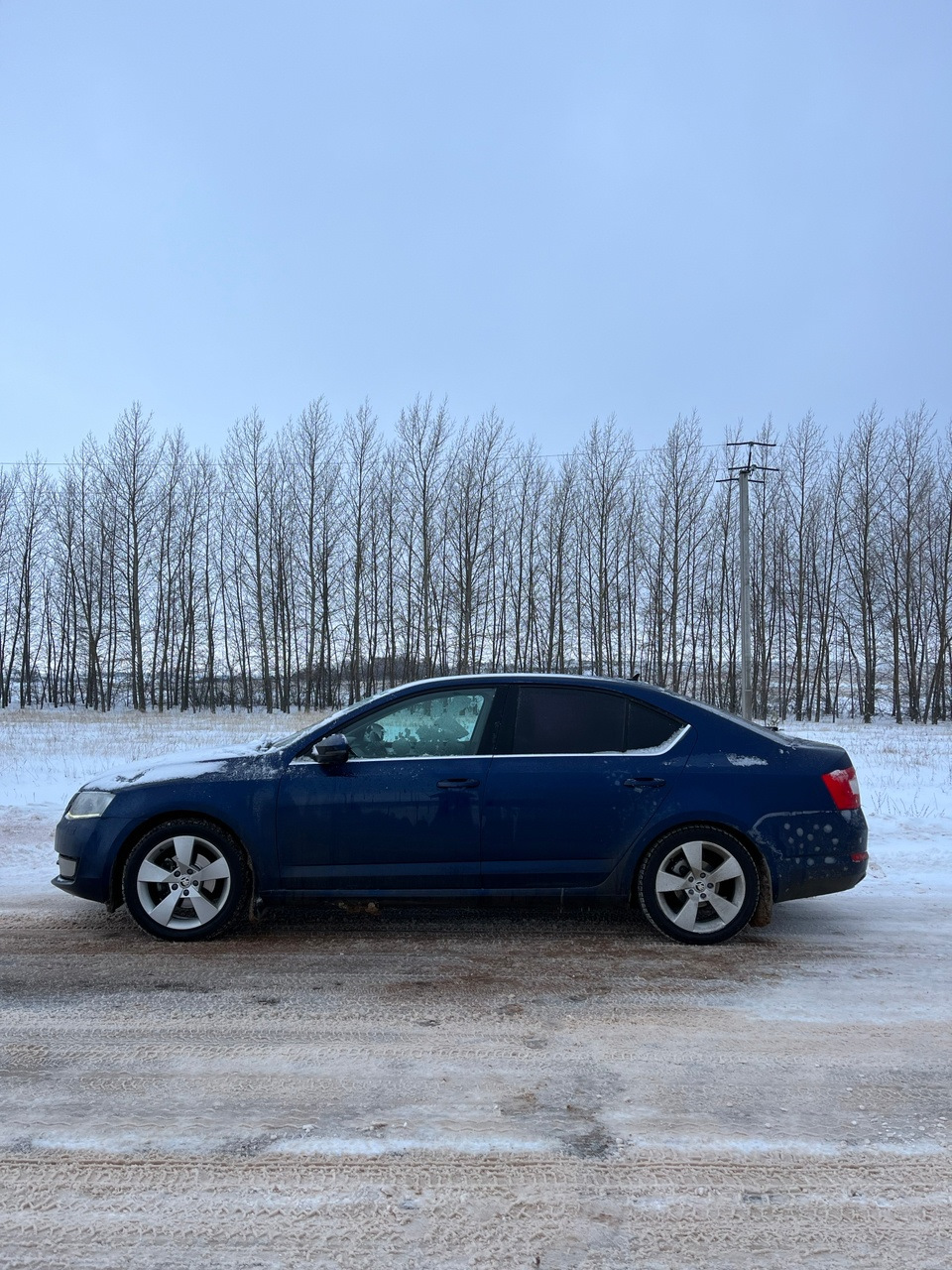 Купил ППД-пружины, снова покатался на китайских авто) — Skoda Octavia A7  Mk3, 1,4 л, 2014 года | другое | DRIVE2