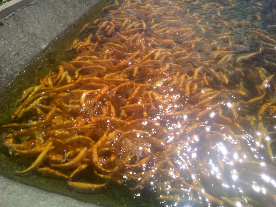 Замена салонного фильтра — Nissan Almera Classic (B10), 1,6 л, 2007 ...