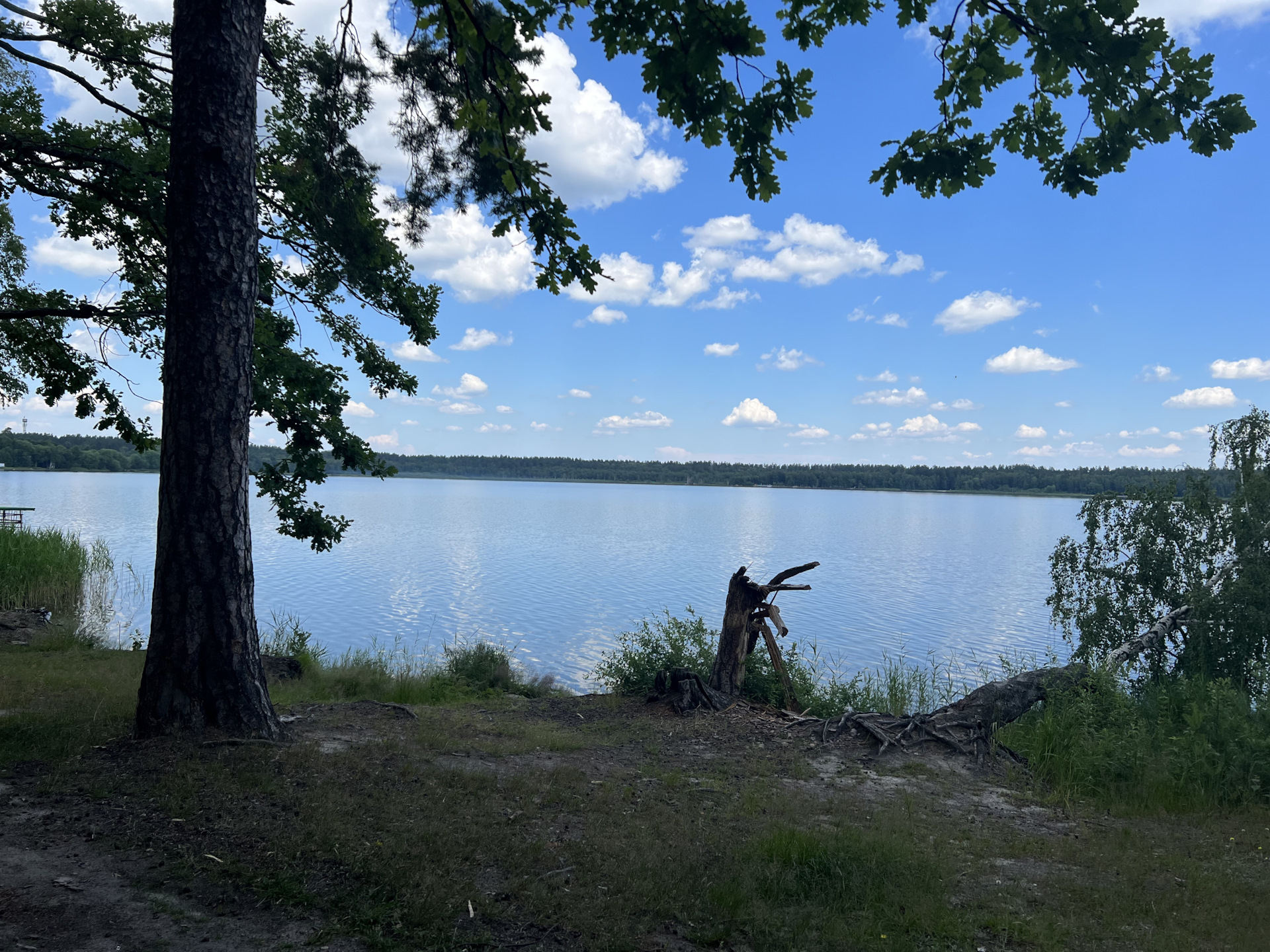 санаторий белое озеро рязанская область