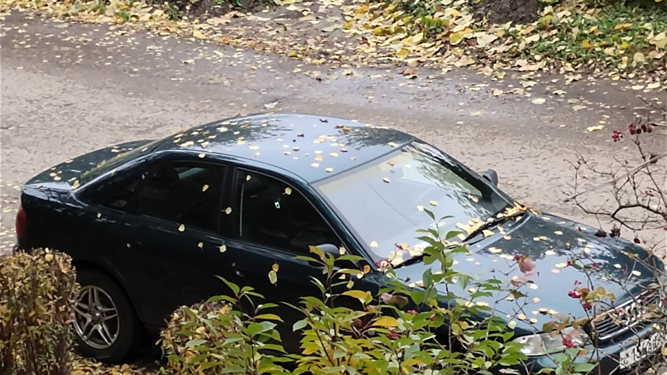 Сломался болт у фланца — Audi A4 (B5), 1,6 л, 1996 года | своими руками ...