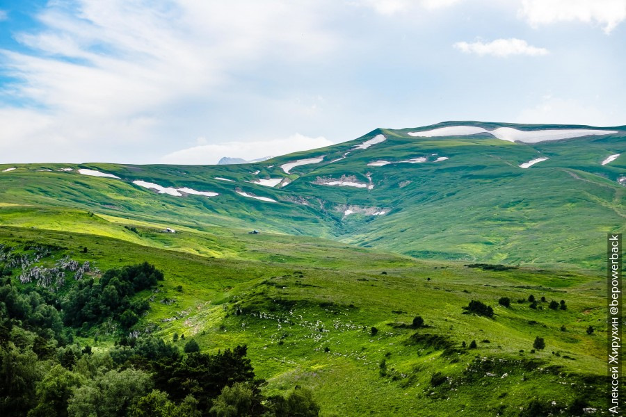 что значит альпийские луга. Смотреть фото что значит альпийские луга. Смотреть картинку что значит альпийские луга. Картинка про что значит альпийские луга. Фото что значит альпийские луга
