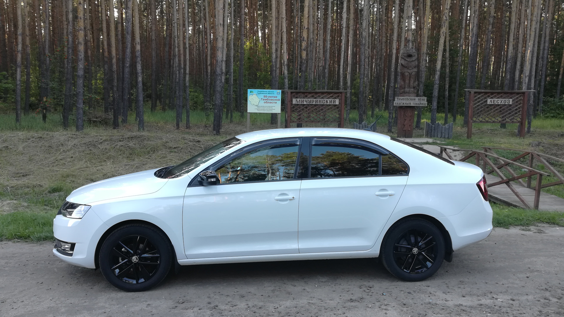 Skoda Rapid (1G) 1.6 бензиновый 2017 | Светлый сон на DRIVE2