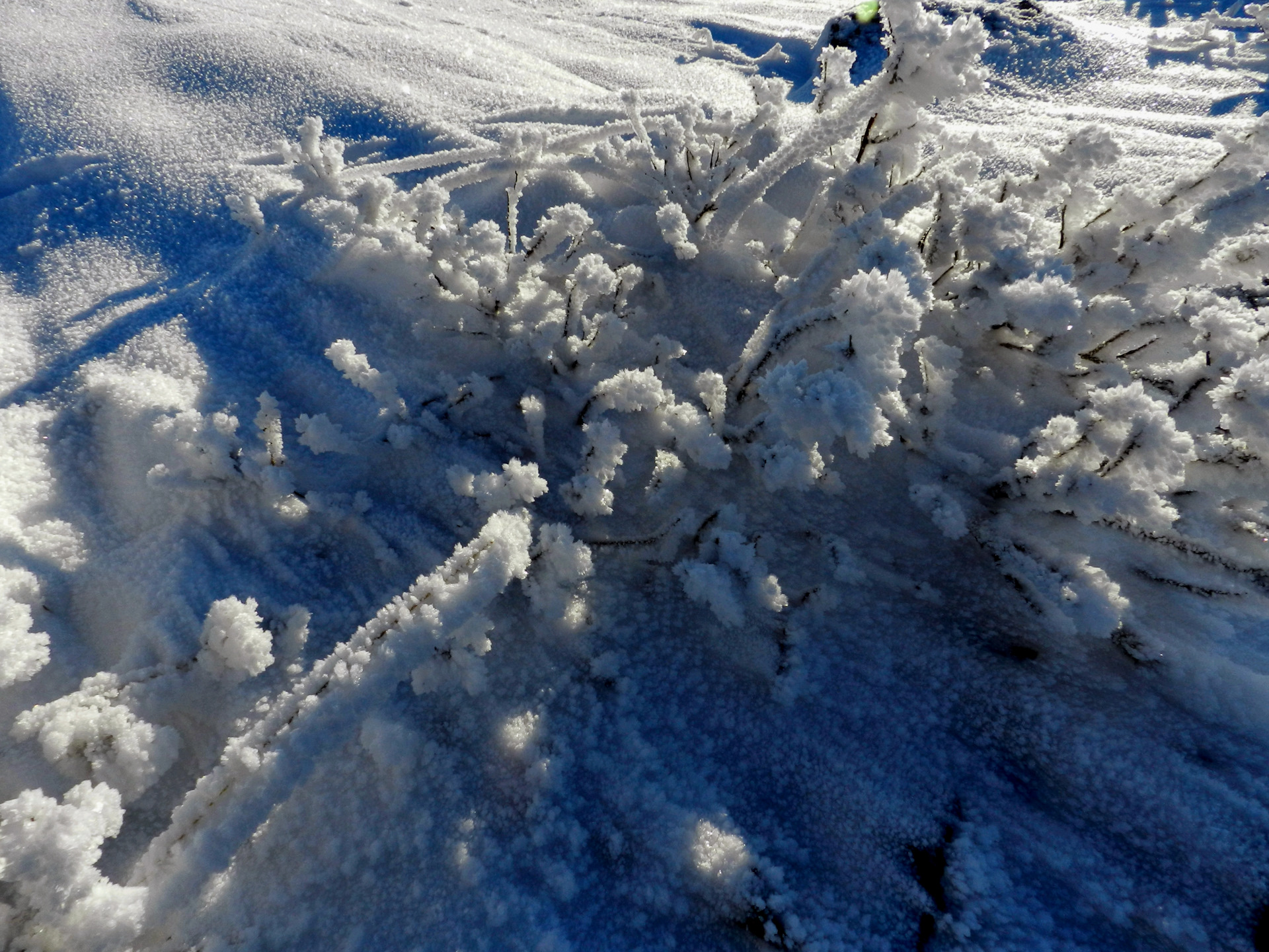 Сухой снег бывает. Большие сопки снег. Самые красивые виды зимы в природе. Красивые заснеженные сопки Совгавани.