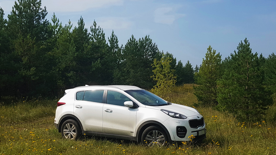 Subaru Sportage белая