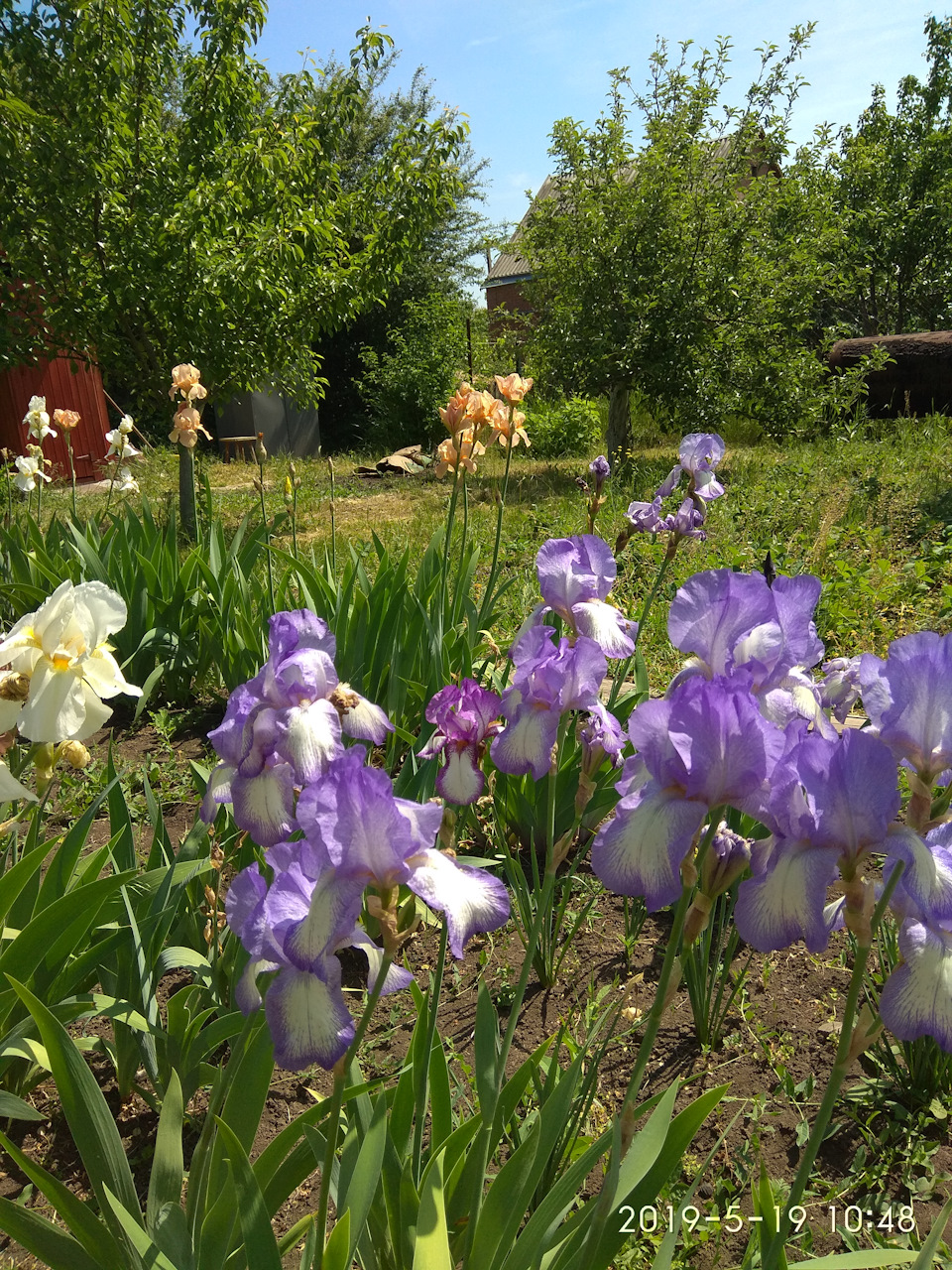 Течет бензобак — Peugeot 605, 2 л, 1992 года | своими руками | DRIVE2