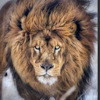 чем разбирать салон автомобиля. Смотреть фото чем разбирать салон автомобиля. Смотреть картинку чем разбирать салон автомобиля. Картинка про чем разбирать салон автомобиля. Фото чем разбирать салон автомобиля