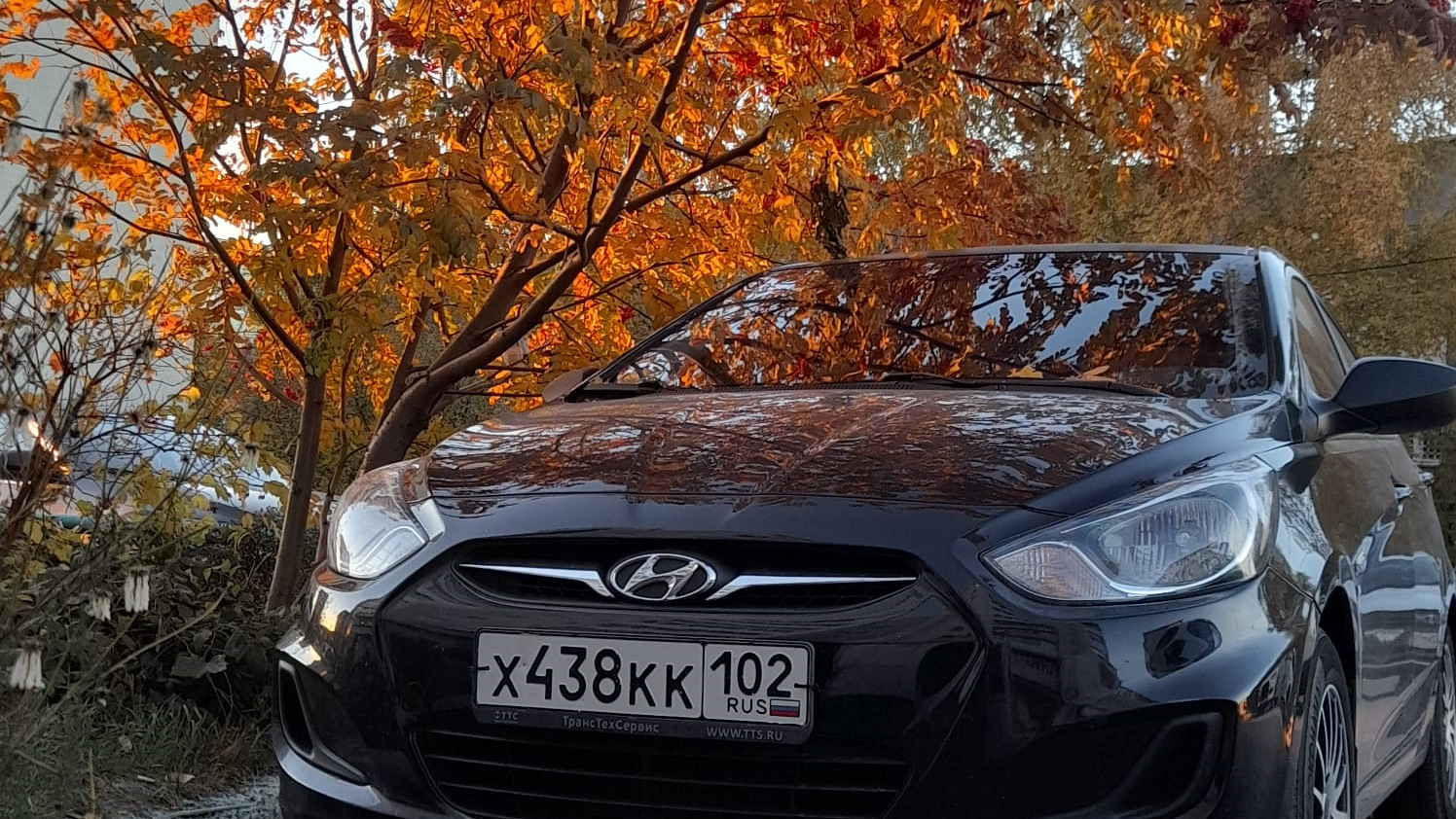 Hyundai Solaris 1.6 бензиновый 2013 | на DRIVE2