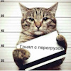 Мультитроникс vg1031s к каким авто подходит. Смотреть фото Мультитроникс vg1031s к каким авто подходит. Смотреть картинку Мультитроникс vg1031s к каким авто подходит. Картинка про Мультитроникс vg1031s к каким авто подходит. Фото Мультитроникс vg1031s к каким авто подходит