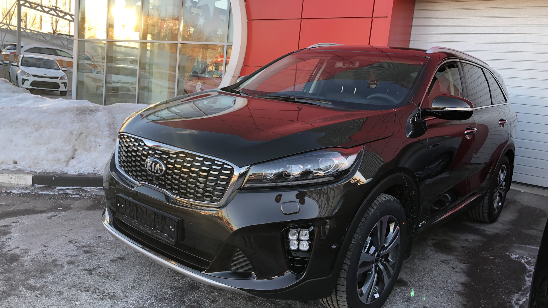 KIA Sorento (3G) 2.2 дизельный 2019 | Коричневый дизель на DRIVE2