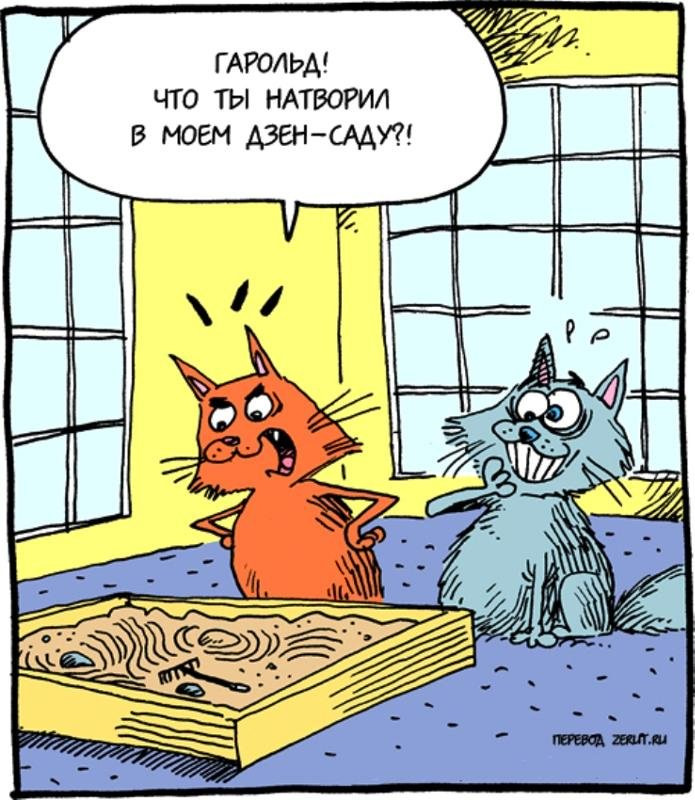 Три кота дзен
