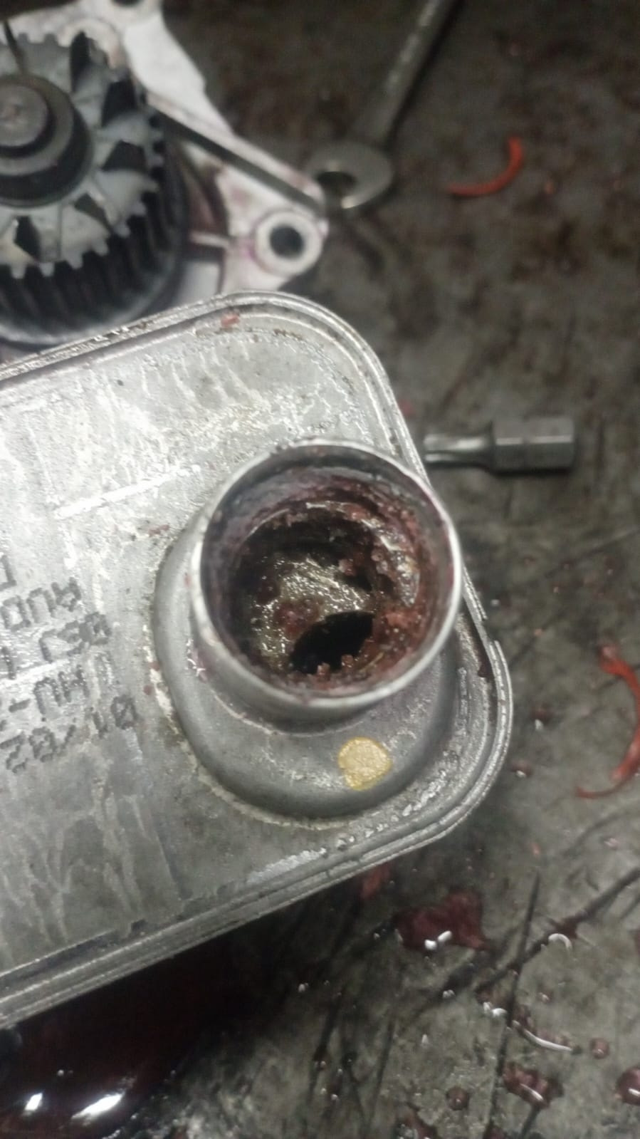 Течь антифриза. Масло в расширительном бачке. — Volkswagen Passat B6, 1 ...