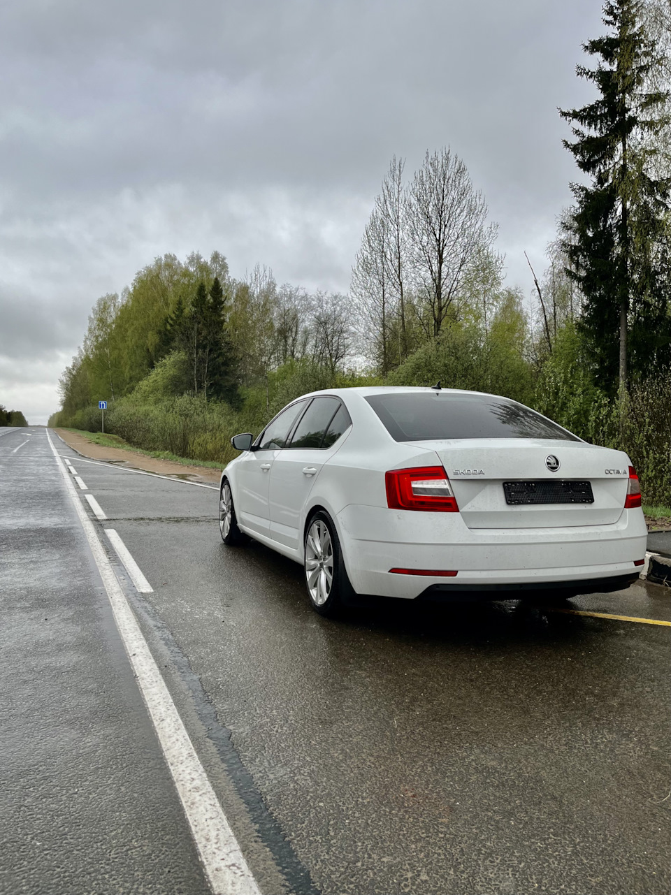 Пробег 200. ТО. Передняя подвеска. — Skoda Octavia A7 Mk3, 1,4 л, 2017 года  | расходники | DRIVE2