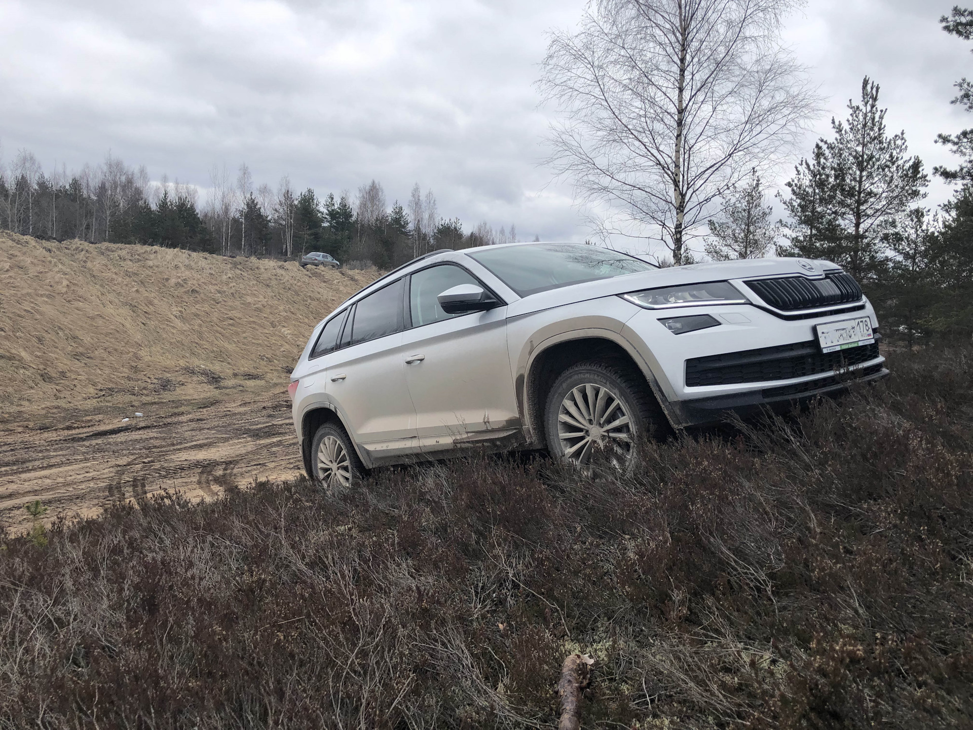 Шкода кодиак 4х4. Skoda Kodiaq off Road. Шкода Кодиак на бездорожье. Skoda Kodiaq off Road Tuning. Мишка Шкода Кодиак.
