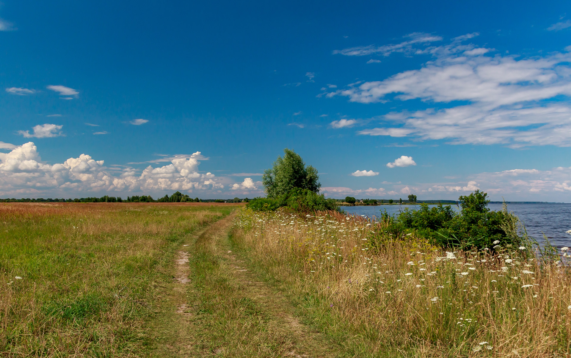 киевское море