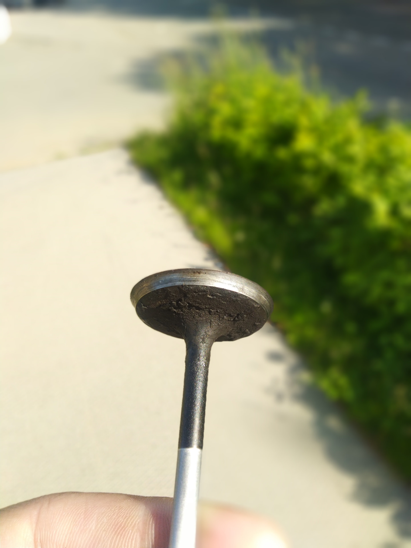 LUZKW-hg7wr8da9xKeeK749sq-I-1920.jpg