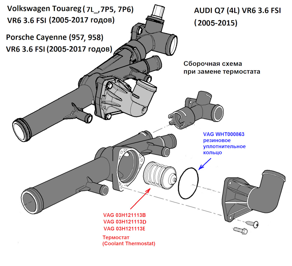 03H121113B Термостат VAG | Запчасти на DRIVE2