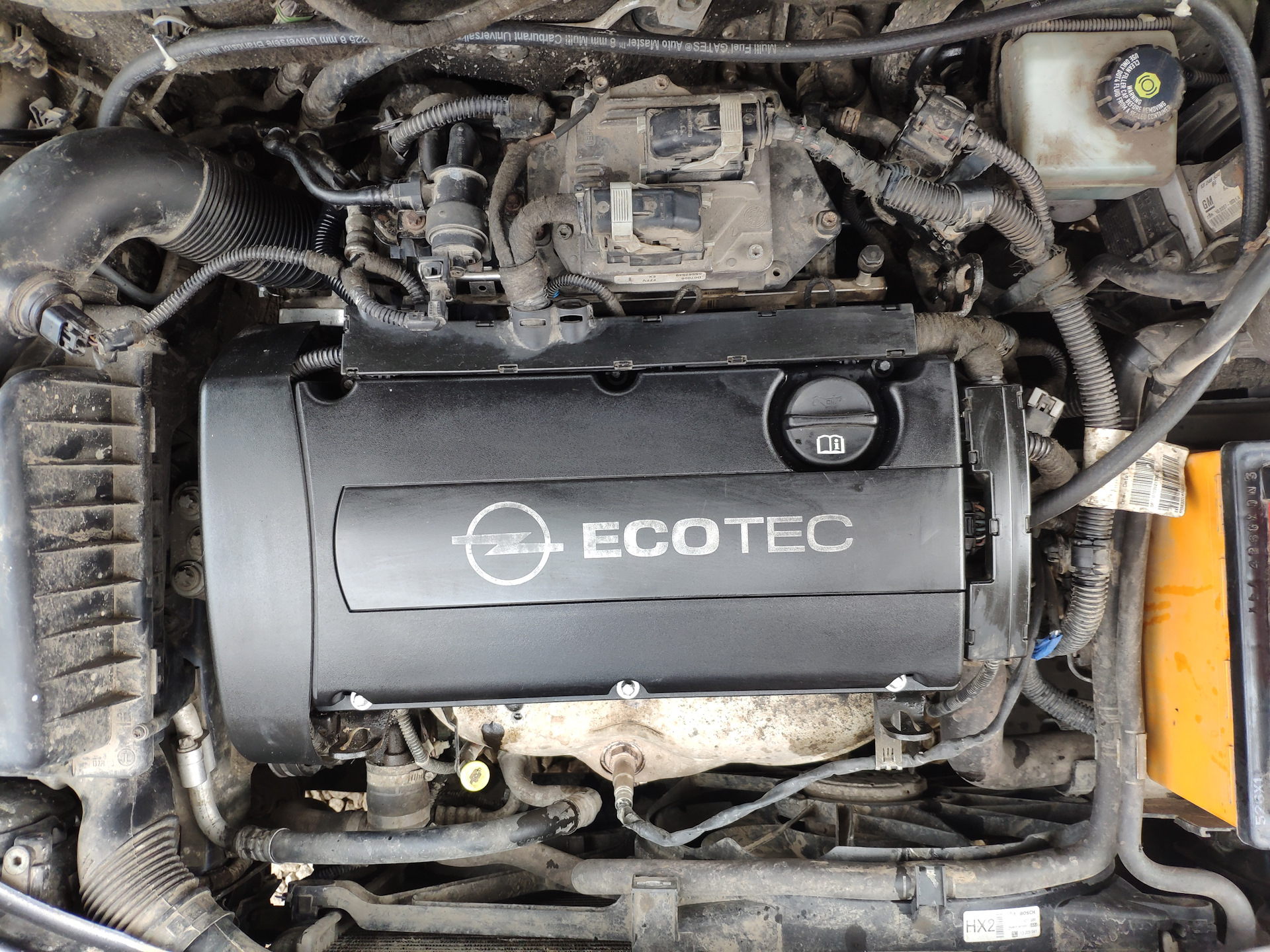 Номер двигателя опель зафира 2. Двигатель троит opel. Nissan dayz свечи зажигания. Двигатель троит opel. Масляный клапан опель антара.