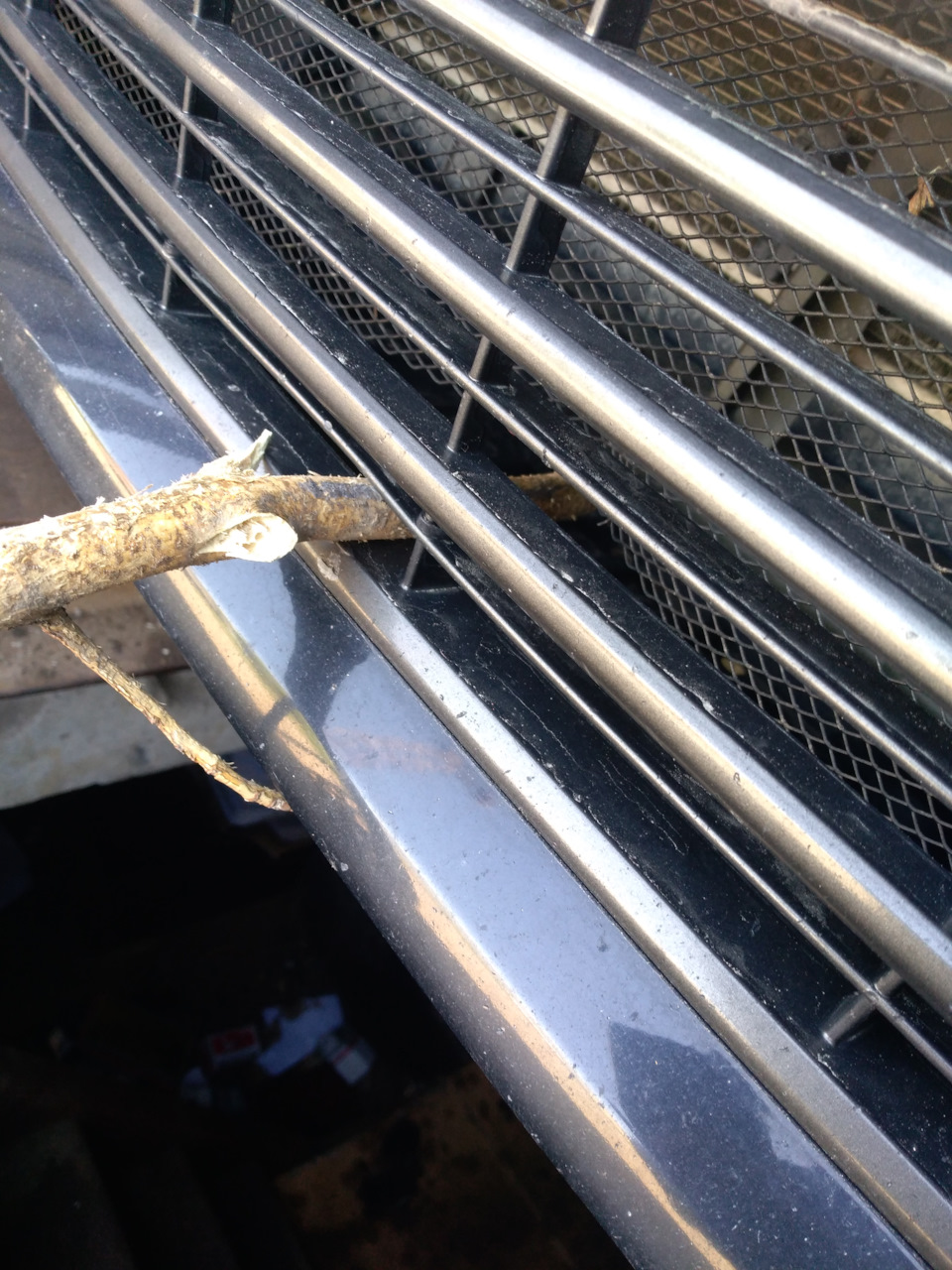 Защитная сетка радиатора. Плюсы и минусы. — Toyota Camry (XV50), 2,5 л ...