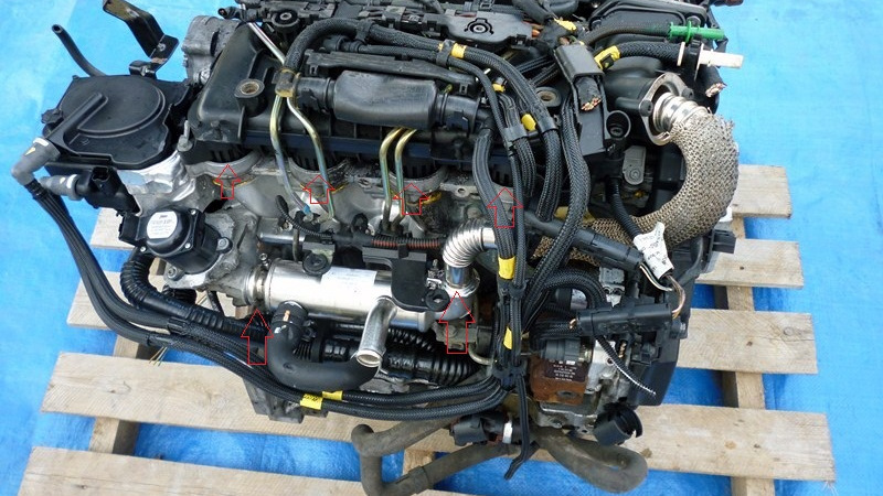 Дв 1.6. 1.6 HDI Ford. Peugeot 1.6HDI. Dv6ted4 9hz. Двигатель 1.6 HDI Пежо.