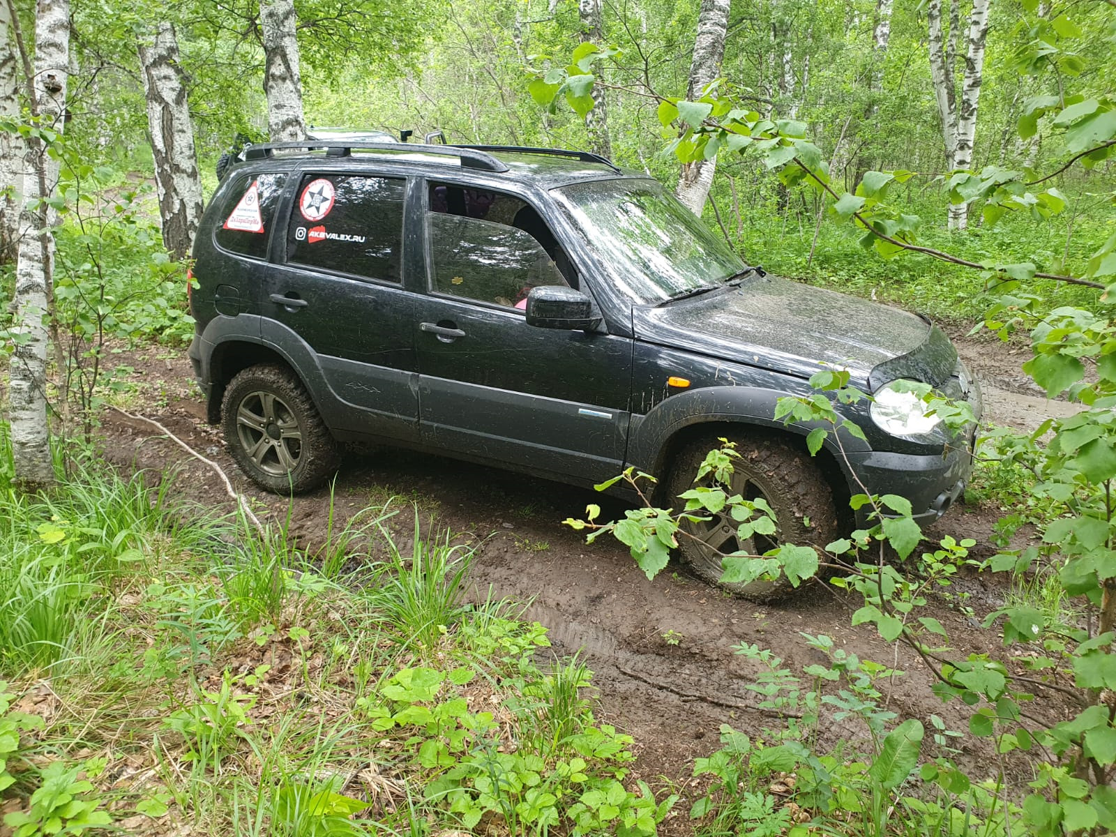 215 65 r16 на ниву шевроле. 215/75 R15 на ниву Шевроле. Cordiant off Road 2 215/65 r16. Нива Шевроле офф роуд. Кордиант офф роуд 2 215/65/16 на ниву.