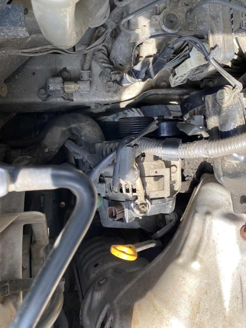 Фото в бортжурнале Toyota Alphard (1G)
