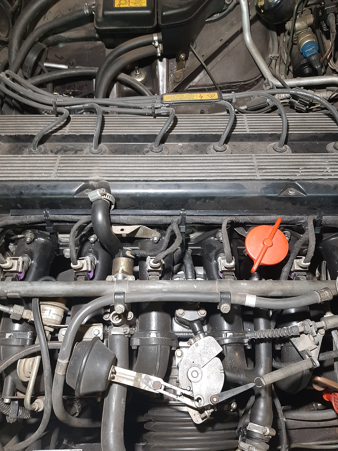 Защита косы форсунок ягуар XJ40 (XJ6) — Jaguar XJ6 (XJ40), 4 л, 1993 ...