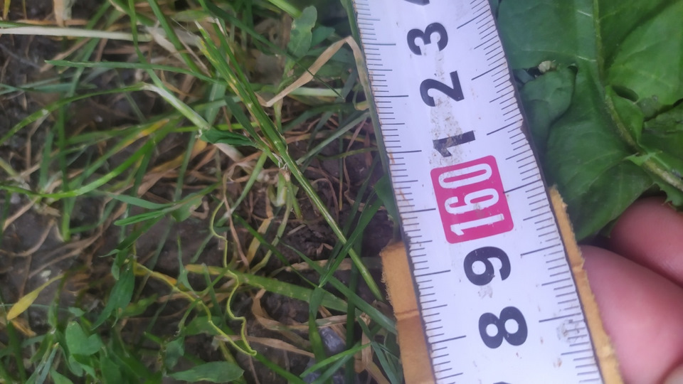 длинна фильтрующего элемента — Hyundai Solaris (1G)