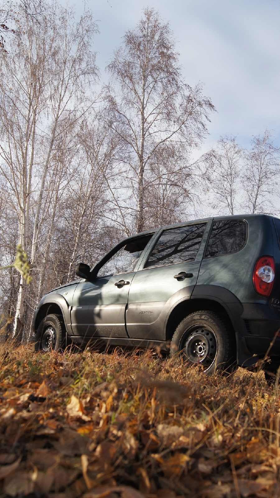 Зима и проставки — Chevrolet Niva GLX, 1,7 л, 2011 года | колёсные диски |  DRIVE2