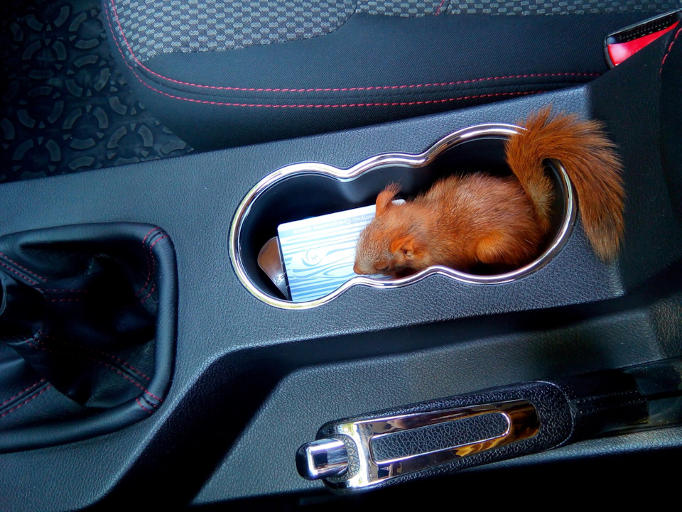 Помутнела одна фара — Geely Emgrand X7, 2 л, 2016 года | визит на ...