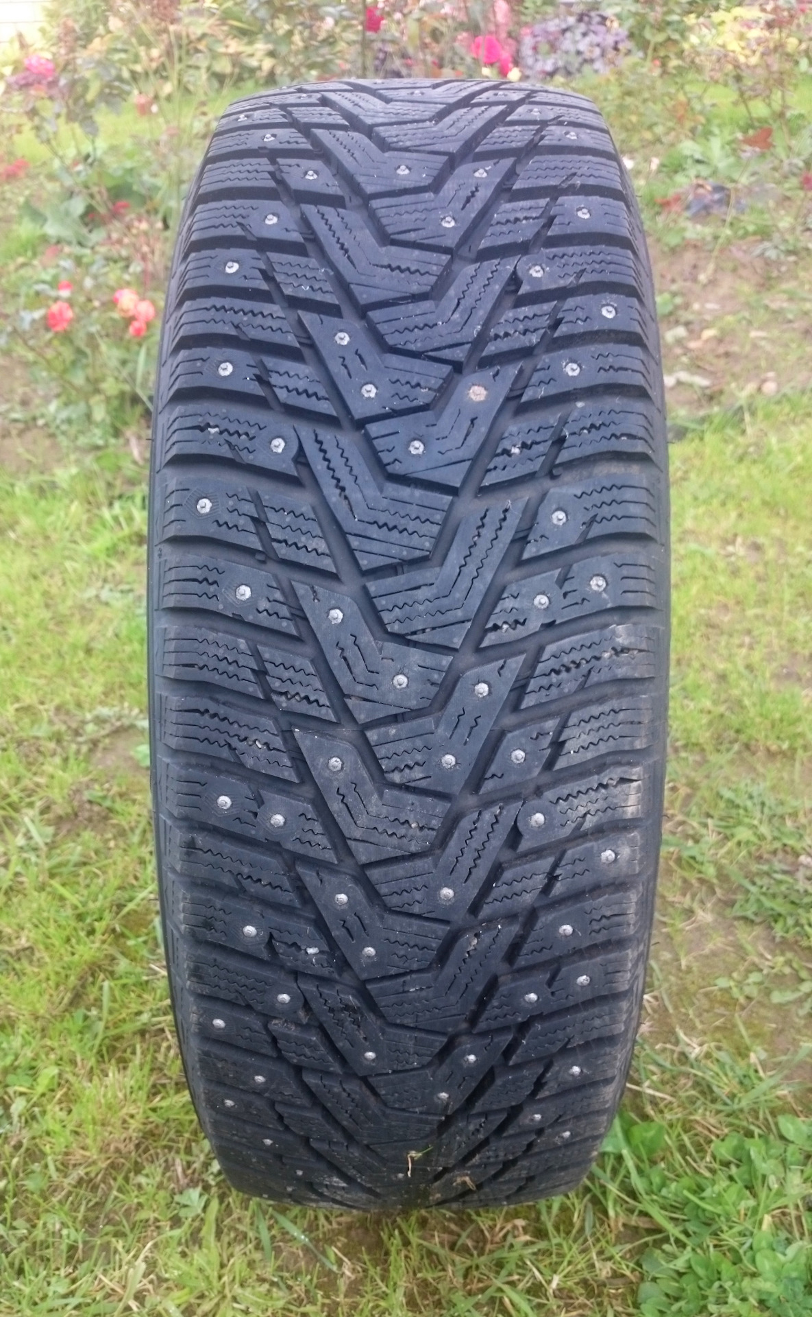 Шины winter pike rs2. Hankook Winter i Pike rs2. Hankook Winter i*Pike rs2 w429. Winter i Pike rs2. Hankook Winter i Pike RS w429.