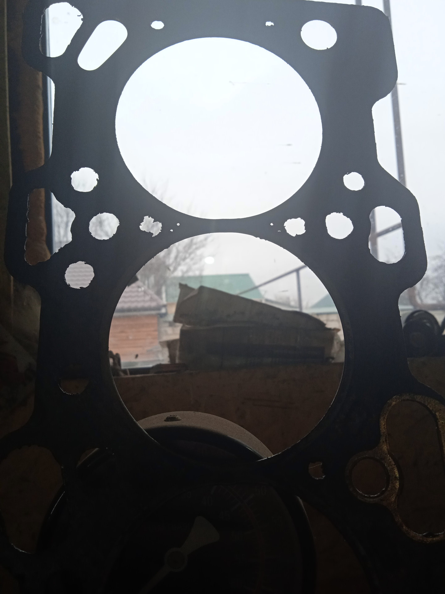 Кароед в действии. — Huanghai Antelope